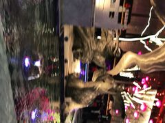 -大雁塔北广场音乐喷泉