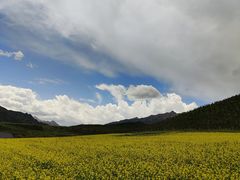 -扁都口生态休闲旅游区