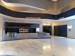 -万象影城(石家庄万象城IMAX激光店)