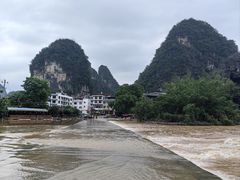 -大师傅金奖啤酒鱼(西街老店)