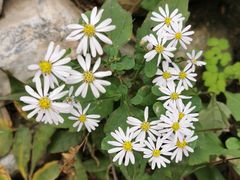 -野三坡清泉山风景区