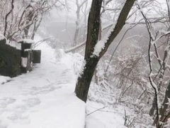 -紫金山山顶公园