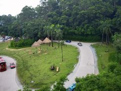 -广州长隆野生动物世界