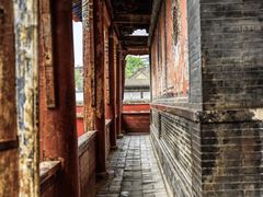 -塔尔寺菩提树