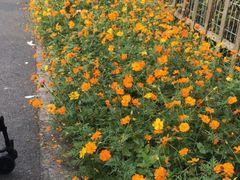 -前小桔亲子创意农场·草莓采摘·露营烧烤