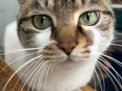 -铜瓢江湖兔火锅(水碾河社区店)