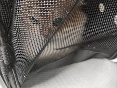 -半岛宠物医院24小时(白果林店)