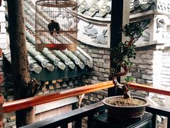 -鱼桥巷·美学川菜