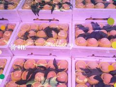 -双福水果批发市场