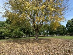 -眉山湿地公园(东坡区)