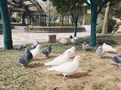 -青岛鑫江温德姆酒店