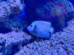 -大连老虎滩海洋公园