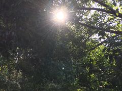 -南京市江宁方山