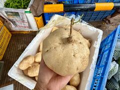 -细村农贸综合市场