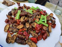 干煸蚕蛹-天添纸包鸡家常菜