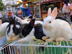 -南门头上美食街