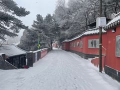 -妙峰山风景名胜区
