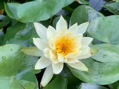 -七彩云南古滇温泉山庄