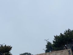 -渡海小渔村.老辈日照菜