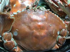 -金海湾海鲜排档(朱家尖店)