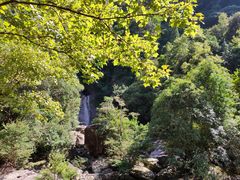 -花岩国家森林公园