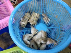 -班赞海鲜市场