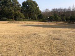 -宝界山林公园