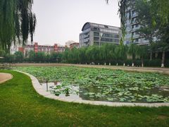 -中国农业博物馆