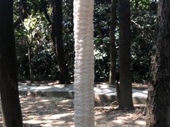-火炉山森林公园