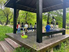 -惠洛克国际儿童之家(绿博园中心)