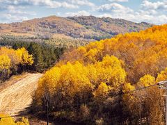 -塞罕坝国家级自然保护区