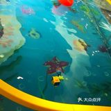 安心游泳好去处