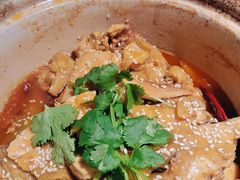 椒麻鸡-周家二小姐的菜(西津渡店)