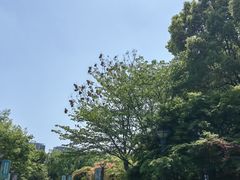 -杭州城北体育公园