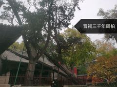 -晋祠公园