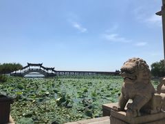 -观桥阁(锦溪店)