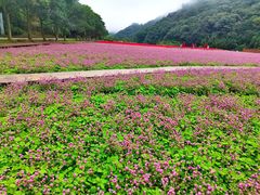 -广州市石门国家森林公园