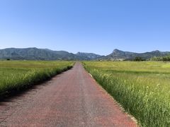 -敕勒川草原