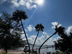 -那琴半岛地质海洋公园