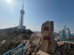 -富斯特索道