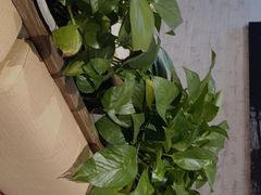 -避风塘(百联奥特莱斯广场店)