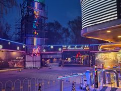 -枫花园汽车电影院(朝阳公园店)
