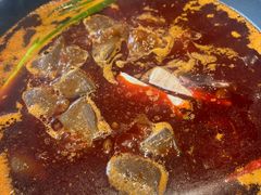 -园里火锅(仁和新城店)