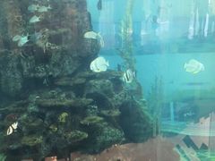 -鸿通城购物中心