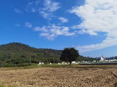 -艾米稻香小镇