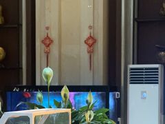 -清水湾酒店(深圳横岗塘坑地铁站店)