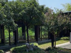 -东园小馆·早茶·淮扬小炒(宋夹城店)