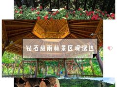 -呀诺达热带雨林