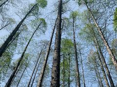 -南京金牛湖风景区