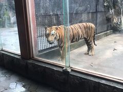 -南昌动物园
